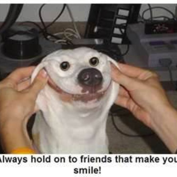 Meet your Posher, Andrea - Picture 2 of 2